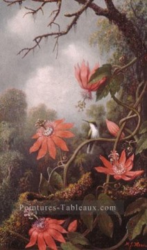 Colibri et fleurs de la passion Martin Johnson Heade floral Peinture à l'huile